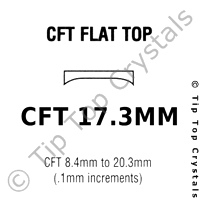 GS CFT 17.3mm Watch Crystal