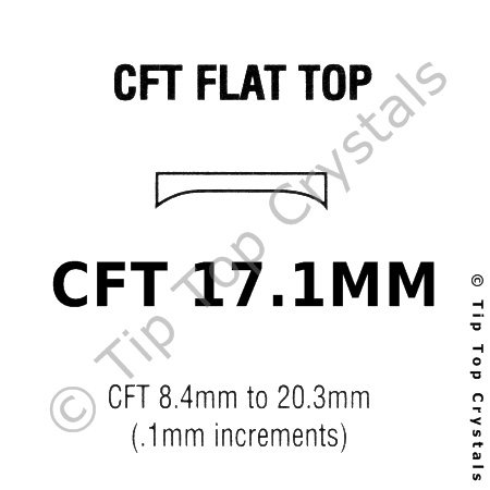 GS CFT 17.1mm Watch Crystal