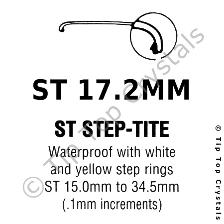 GS ST 17.2mm Watch Crystal - Click Image to Close