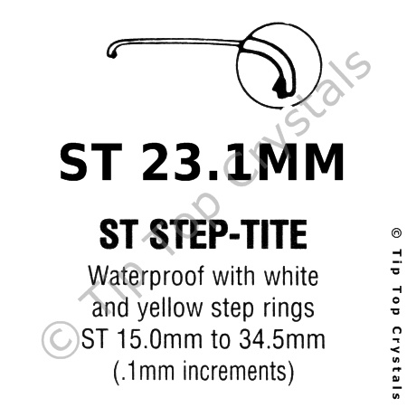 GS ST 23.1mm Watch Crystal - Click Image to Close